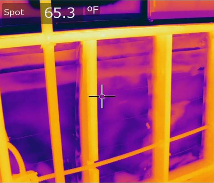 Water Damage shown in thermal imaging view